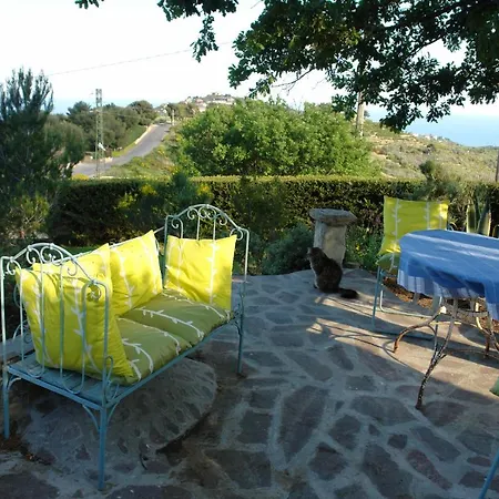 In Con Terrazzo E Giardino